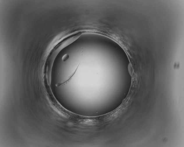 X0000097620151200802291334