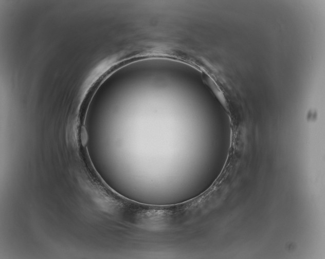 X0000097620152200802291334