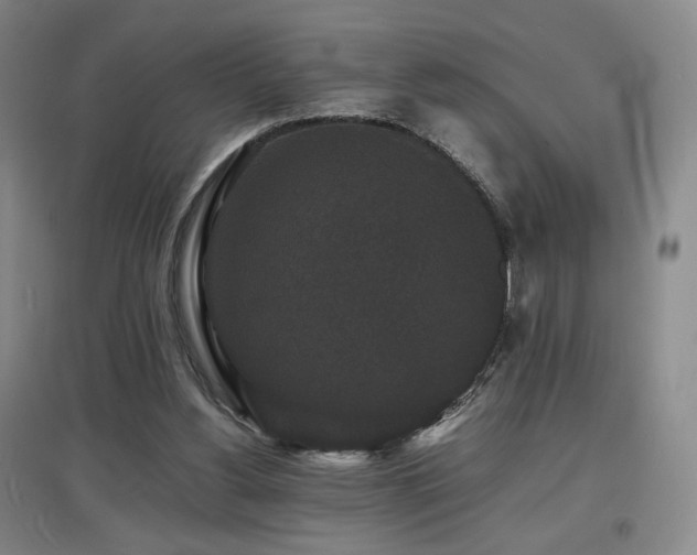 X0000097620156200802291334