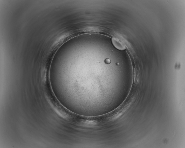 X0000097620157200802291334