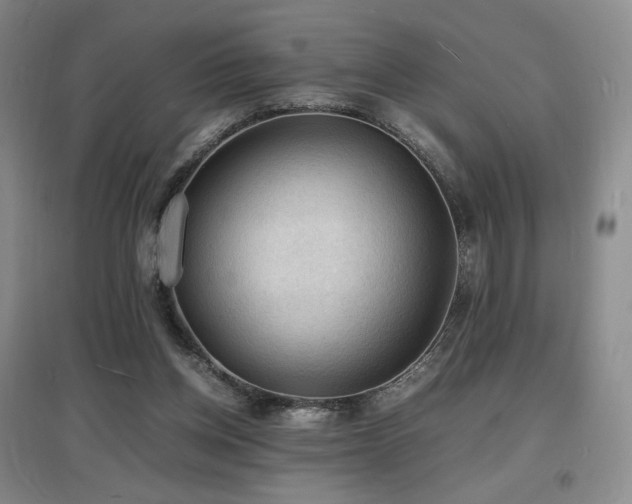 X0000097620158200802291334