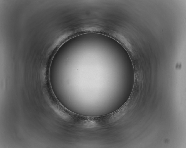 X0000097620159200802291334
