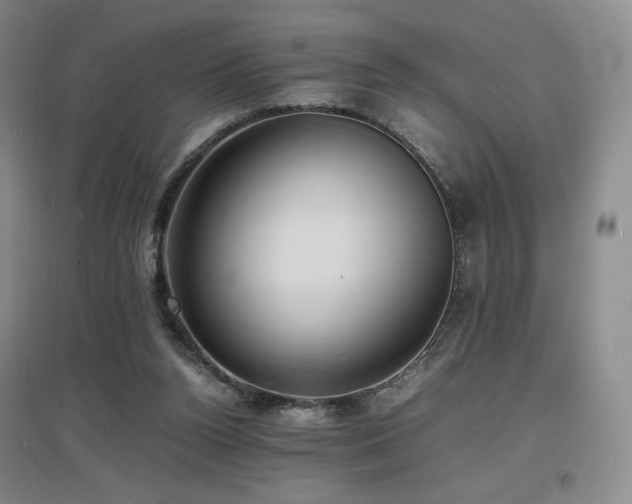 X0000097620160200802291334