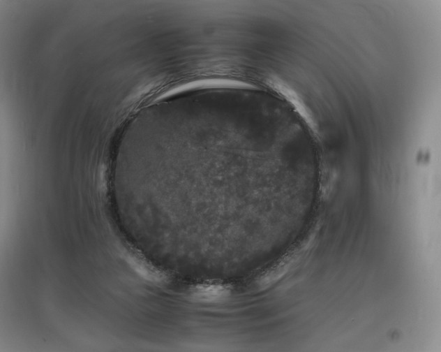 X0000097620161200802291334