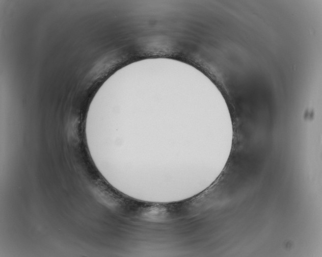 X0000097620162200802291334
