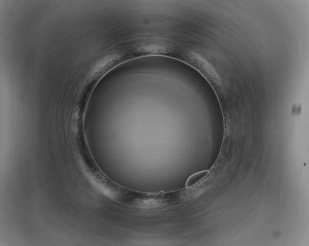 X0000097620163200802291334