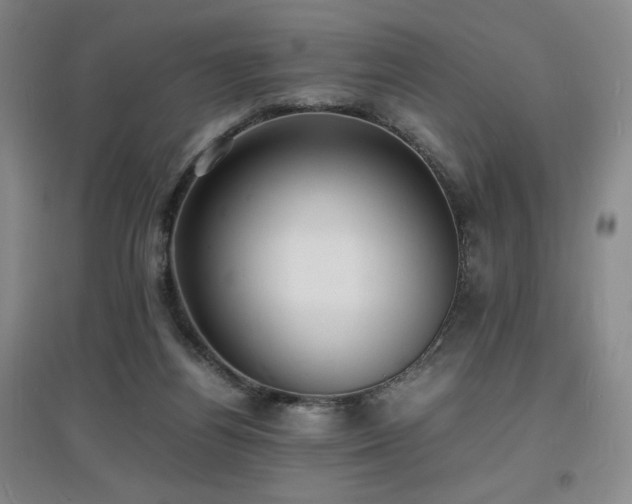 X0000097620164200802291334