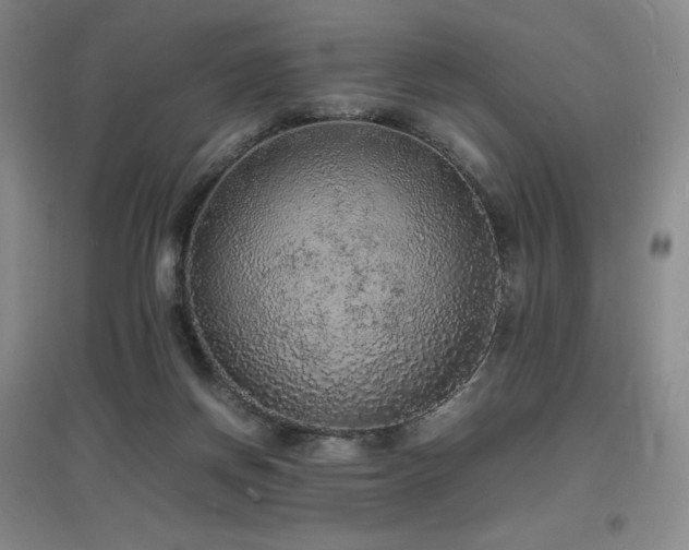 X0000097620166200802291334