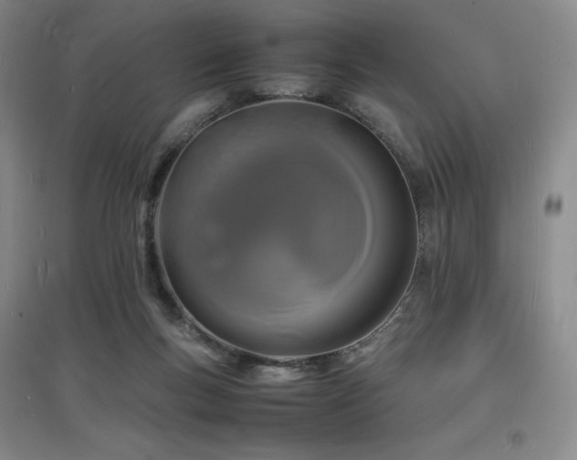 X0000097620167200802291334