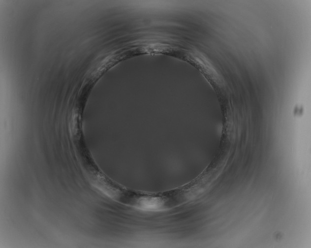X0000097620169200802291334