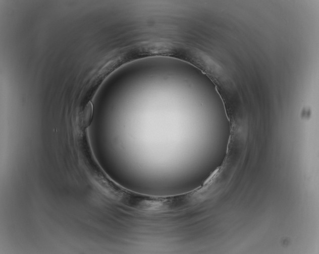 X0000097620170200802291334