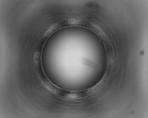 X0000097620171200802291334