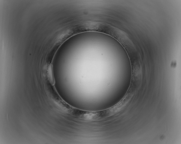 X0000097620172200802291334