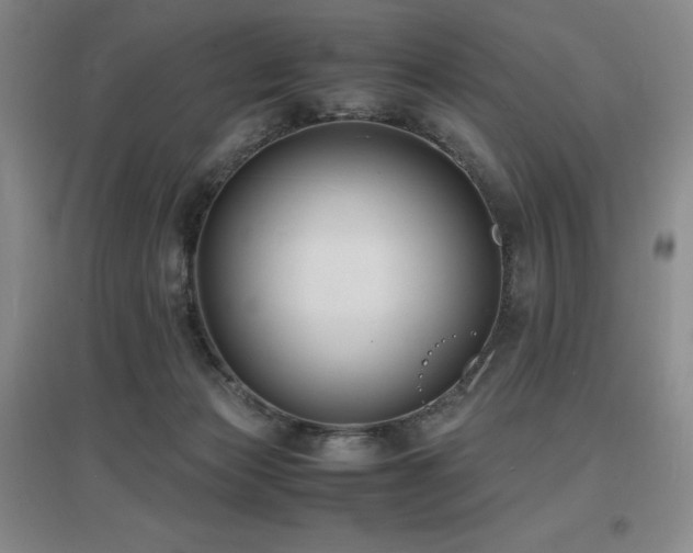 X0000097620173200802291334