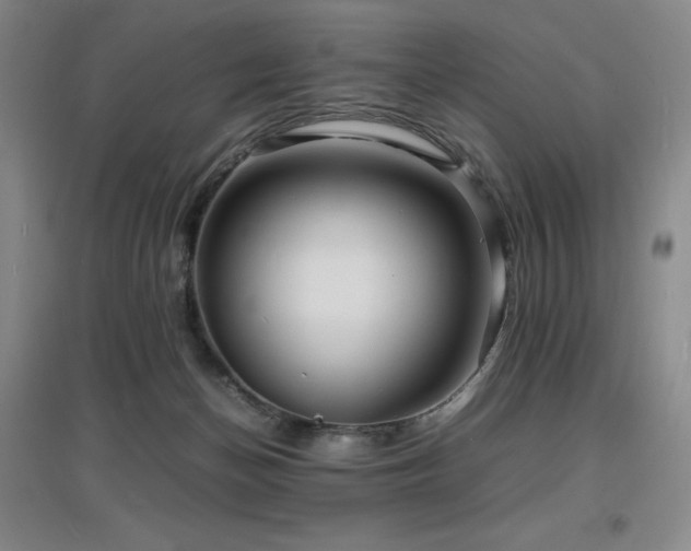 X0000097620174200802291334