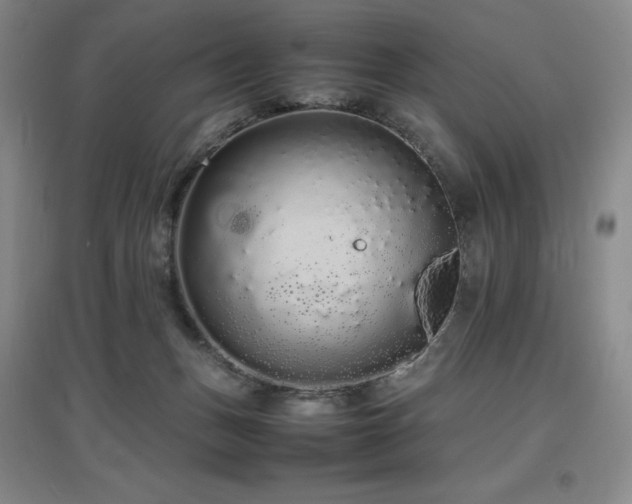 X0000097620175200802291334