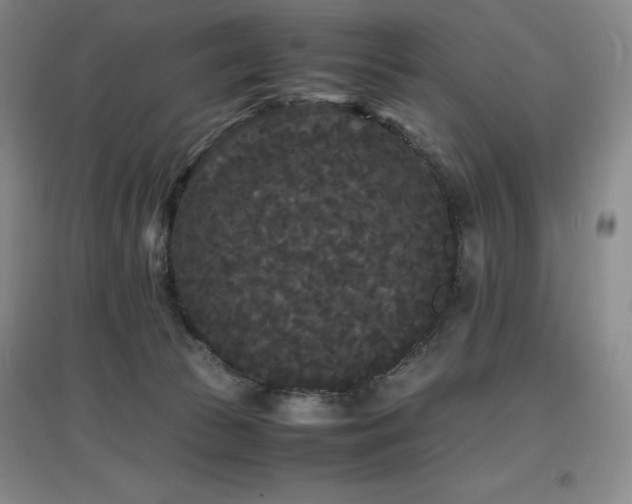 X0000097620177200802291334
