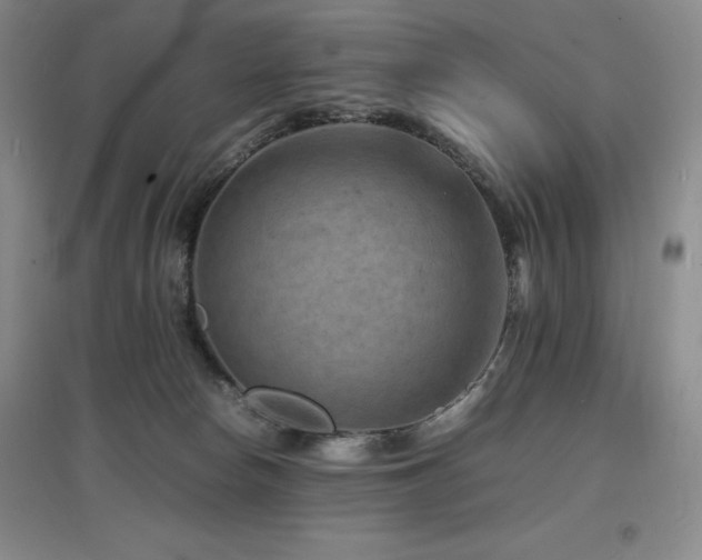 X0000097620178200802291334