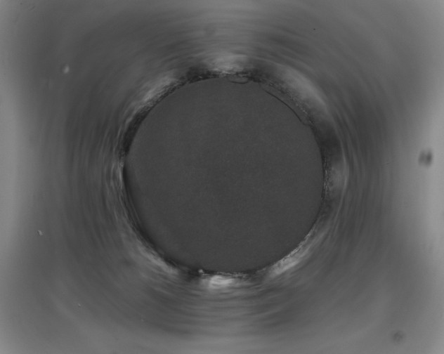X0000097620180200802291334
