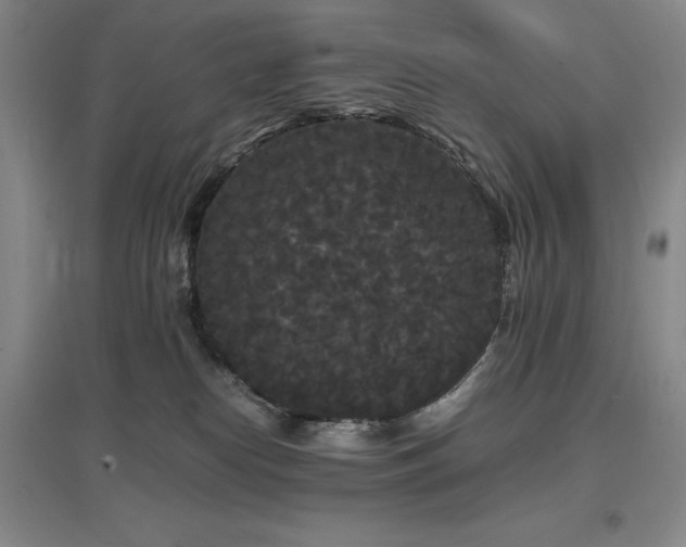 X0000097620182200802291334