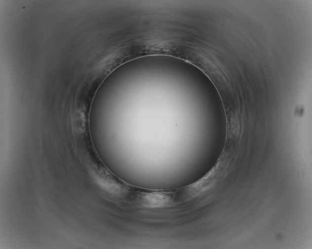 X0000097620183200802291334