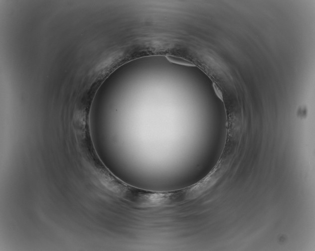 X0000097620184200802291334