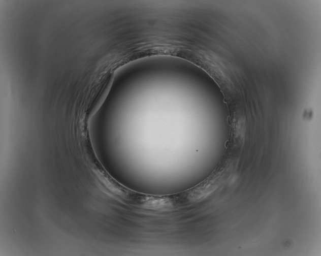 X0000097620185200802291334