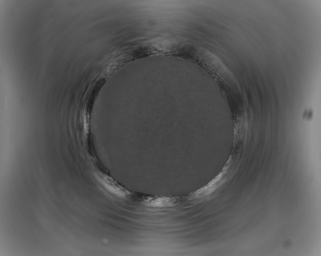 X0000097620186200802291334