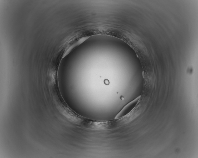 X0000097620188200802291334
