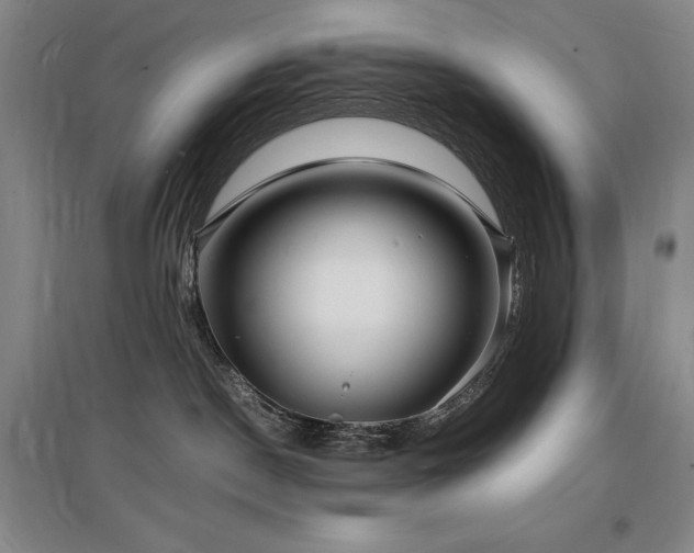 X0000097620190200802291334