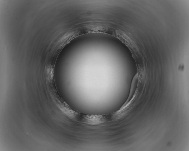 X0000097620191200802291334