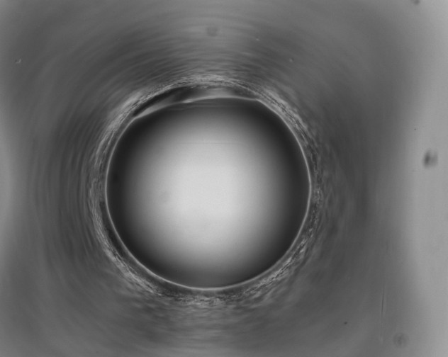 X0000097620193200802291334