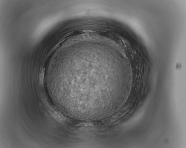 X0000097620194200802291334