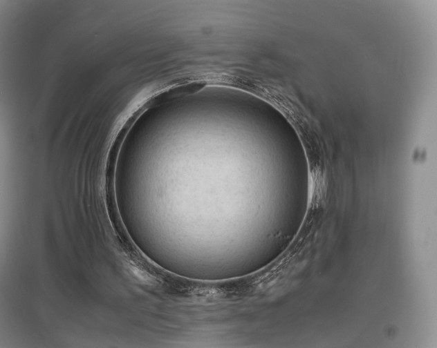 X0000097620195200802291334
