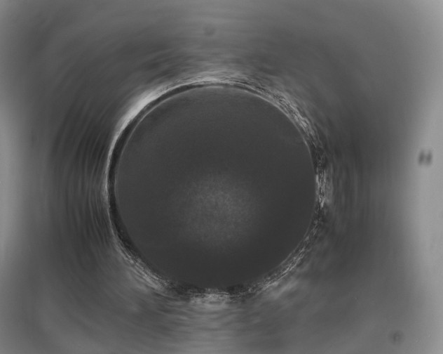 X0000097620196200802291334