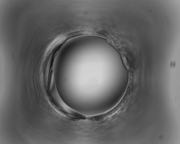 X0000097620197200802291334