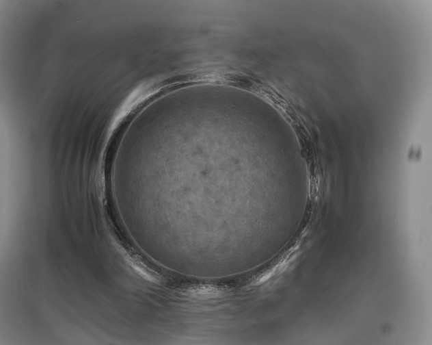X0000097620198200802291334