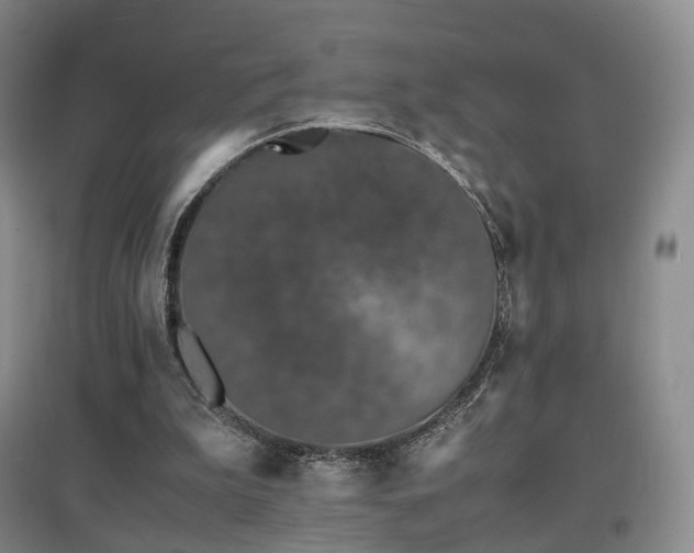 X0000097620199200802291334