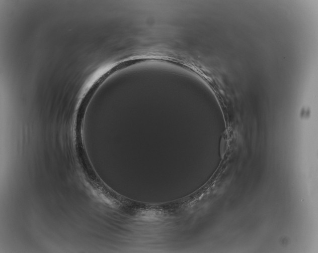 X0000097620200200802291334