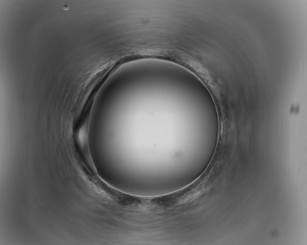 X0000097620201200802291334