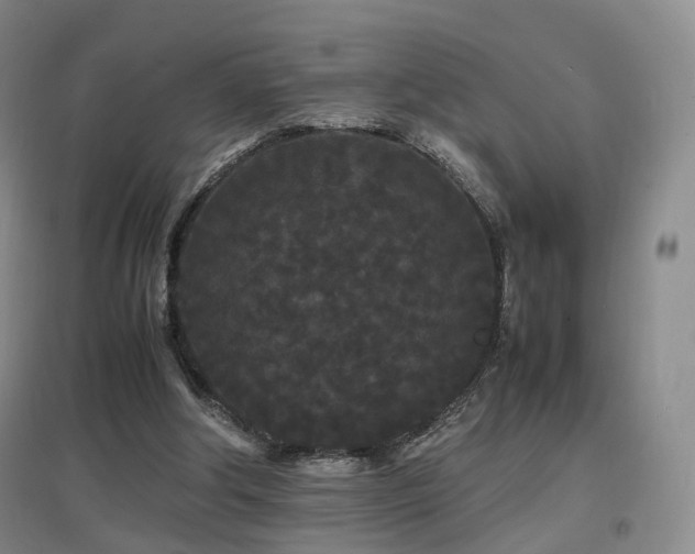 X0000097620202200802291334