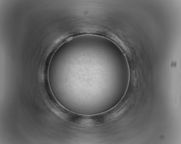 X0000097620203200802291334