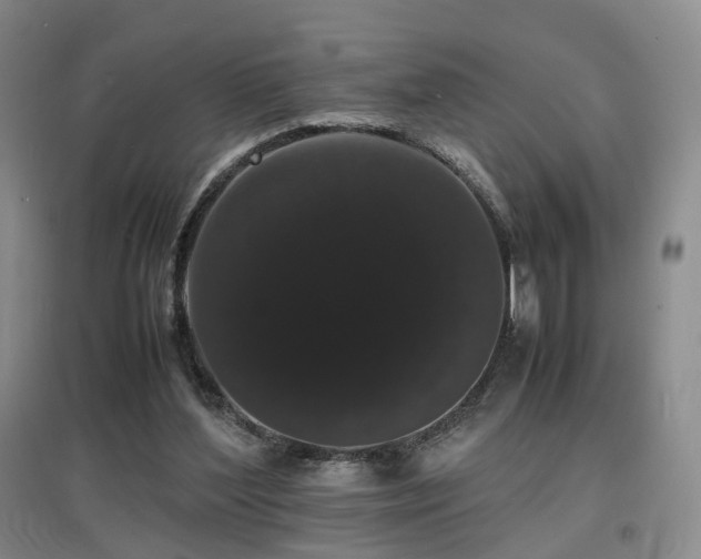 X0000097620204200802291334