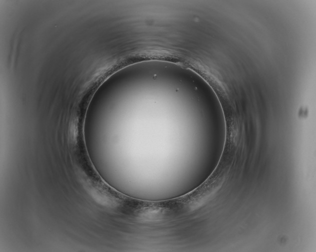 X0000097620206200802291334