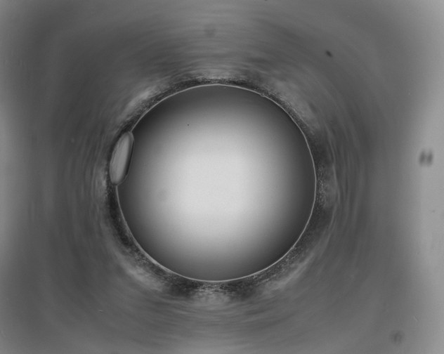 X0000097620207200802291334