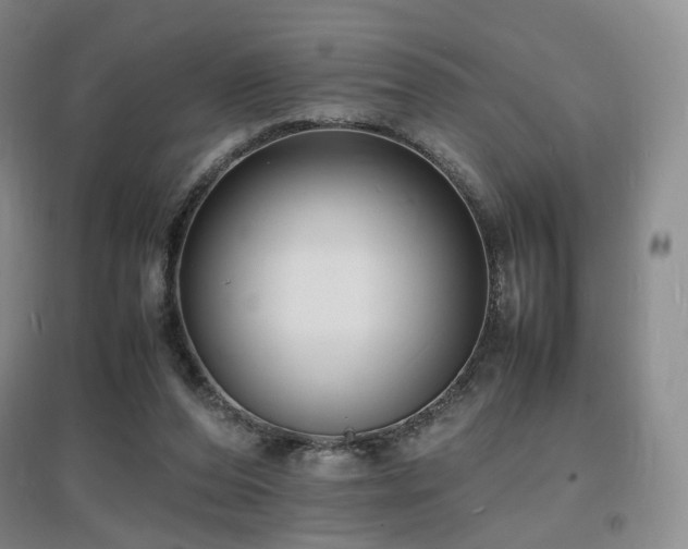 X0000097620208200802291334