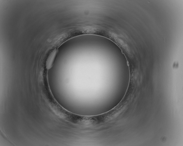 X0000097620209200802291334