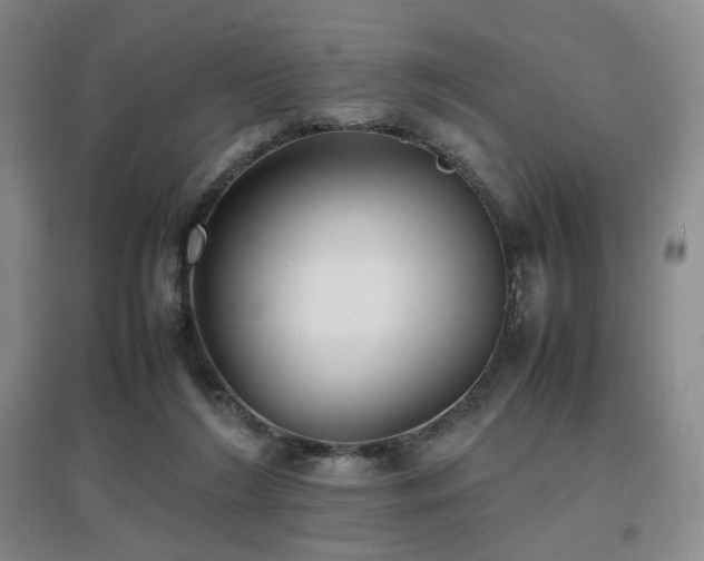 X0000097620212200802291334