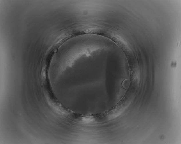 X0000097620214200802291333