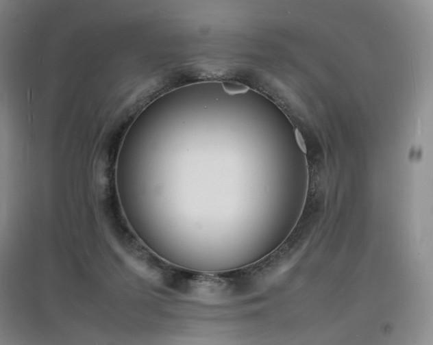 X0000097620215200802291333